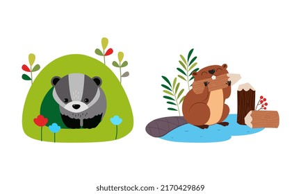 Cute badger sitting in burrow and beaver chewing wood cartoon vector illustration