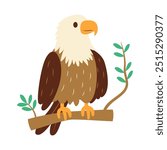 Cute Bald Eagle Hawk Falcon Bird Animal Perched on Tree Twig in the Jungle