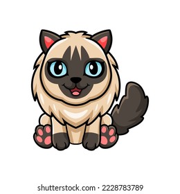 Cute balinese cat cartoon sitting