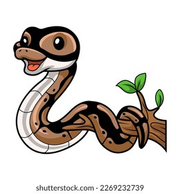 Cute ball python snake cartoon on tree branch