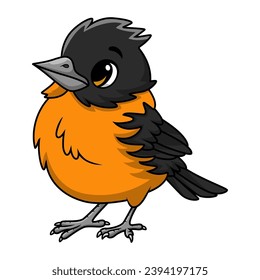Cute baltimore oriole bird cartoon on white background