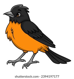 Cute baltimore oriole Vogelcartoine auf weißem Hintergrund