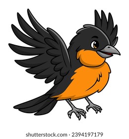 Cute baltimore oriole bird cartoon on white background