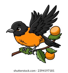 Cute baltimore oriole bird cartoon on white background