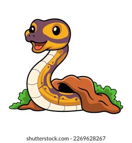 Cute banana ball python snake cartoon out from hole