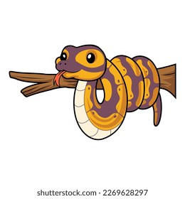 Cute banana ball python snake cartoon on tree branch