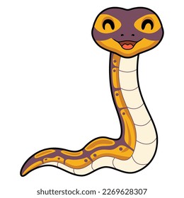 Cute banana ball python snake cartoon