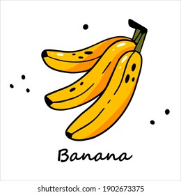 Cute banana in doodle style with outline. Doodle vector illustration. Banana isolated on white background.