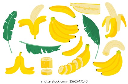 Cute banana fruit object collection.Whole, cut in half, sliced on pieces banana. Vector illustration for icon,logo,sticker,printable