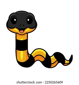 Cute banded krait bungarus candidus cartoon