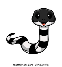 Cute banded krait snake cartoon