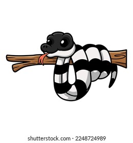 Cute banded krait snake cartoon on tree branch