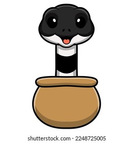 Cute banded krait snake cartoon out from pot