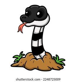 Cute banded krait snake cartoon out from hole