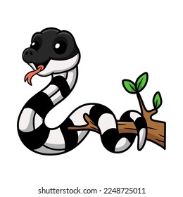 Cute banded krait snake cartoon on tree branch