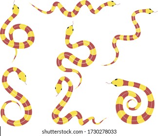 Cute banded snake vector design