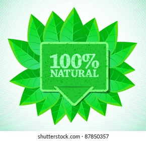 cute banner with green leaves