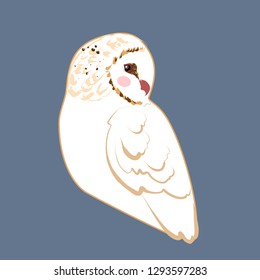 Cute barn owl isolated vector graphics