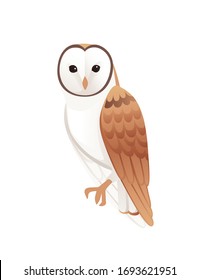 Cute barn owl (tyto alba) with white face and brown wings cartoon wild forest bird animal design flat vector illustration isolated on white background