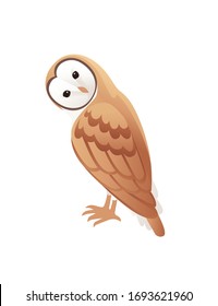 Cute barn owl (tyto alba) with white face and brown wings cartoon wild forest bird animal design flat vector illustration isolated on white background