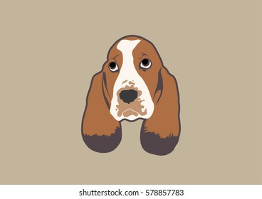 Cute Basset Hound