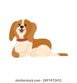 Cute Basset Hound puppy pose