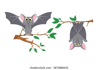 cute bat animal cartoon, simple vector illustration