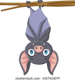 Cute bat cartoon hanging the branch
