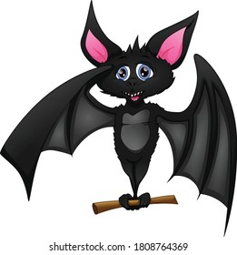 cute bat cartoon on a white background