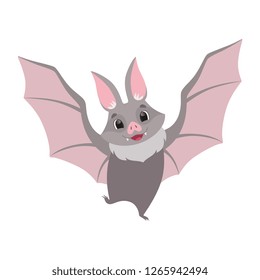 Cute bat flying, gray funny creature cartoon character vector Illustration on a white background