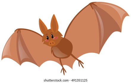 Cute bat flying on white background illustration