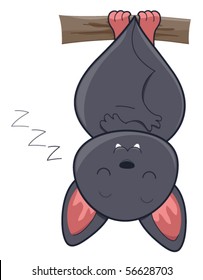 Cute Bat - Vector