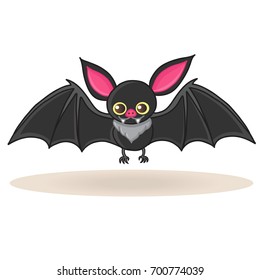 Cute bat vector. Animal cartoon character.