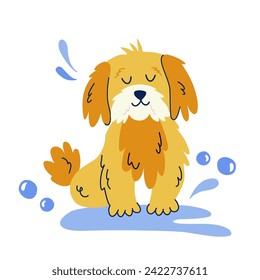 Perro de baño lindo al estilo de dibujos animados planos. Vector aislado ilustración a mano para pegatina, pancarta, afiche, postal. Concepto de preparación de perros