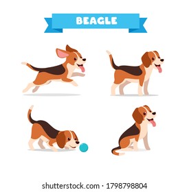cute beagle dog animal pet with many pose bundle set
