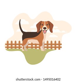 cute beagle dog with background landscape