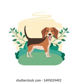 cute beagle dog with background landscape