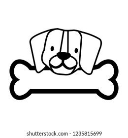 cute beagle dog and bone
