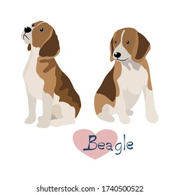 Cute Beagle dog collection Free  Hand Drawing Vector in Different Poses.