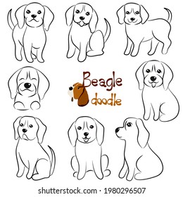 Cute beagle dog doodle. Collection in different poses in free hand drawing illustration style.