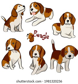 Cute Beagle dog doodle collection in different position in free hand drawing illustration style.