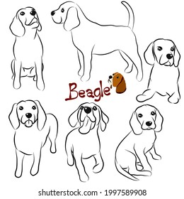 Cute Beagle dog doodle collection in different position in free hand drawing illustration style.