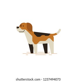 Cute beagle dog flat style illustration.