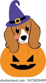 Cute beagle dog with hat halloween