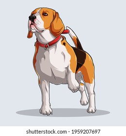 Cute Beagle dog illustrated with colorful shadows and lights isolated on white background