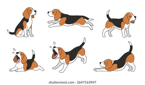 Cute Beagle Dog Poses Animated and Still Illustrations
