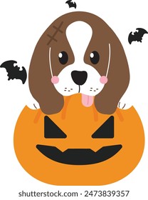 Cute beagle dog in pumkin halloween