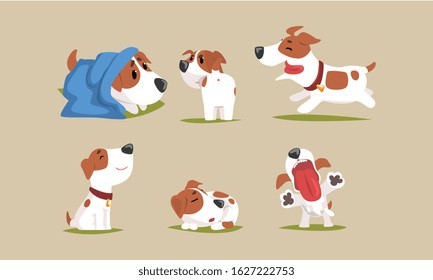 Cute Beagle Dog in Various Poses Collection, Funny Purebred Pet Animal Cartoon Character in Different Situations Vector Illustration