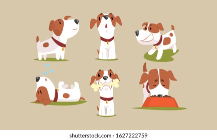 Cute Beagle Dog in Various Poses Collection, Funny Purebred Pet Animal Cartoon Character Vector Illustration