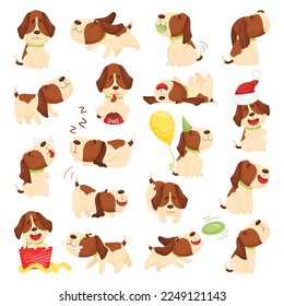 Cute Beagle Dog in Various Poses Big Vector Set